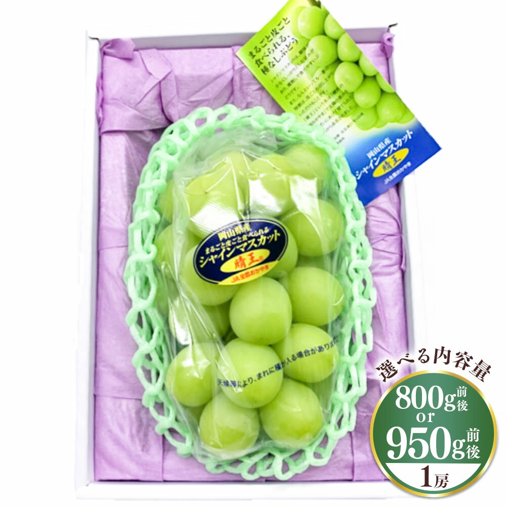 【選べる容量】《化粧箱入り》シャインマスカット 晴王 1房（800g前後 もしくは 950g前後）ブドウ 葡萄 ぶどう マスカット フルーツ 果物 岡山県産 国産 ギフト 岡山のぶどう デザート【2025年7月下旬～12月下旬 発送予定】