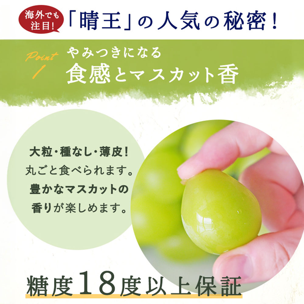 【ふるさと納税】【選べる容量】《化粧箱入り》シャインマスカット 晴王 1房（800g前後 もしくは 950g前後）ブドウ 葡萄 ぶどう マスカット フルーツ 果物 岡山県産 国産 ギフト 岡山のぶどう デザート【2025年7月下旬～12月下旬 発送予定】 サムネイル3