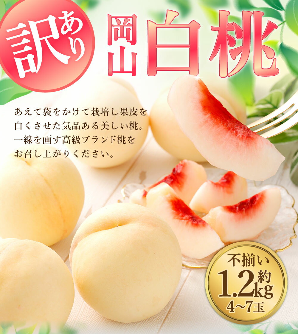【ふるさと納税】【訳あり】袋掛け 岡山白桃 サイズ不揃い 4～7玉 1.2kg以上 家庭用 ブランド桃 モモ はなよめ 白鳳 清水白桃 白麗 白皇 恵白 白露 くだもの 冷蔵 岡山県産 国産 岡山県 倉敷市 送料無料 【2026年7月上旬～2026年9月上旬まで発送】10000円 1万円 サムネイル2
