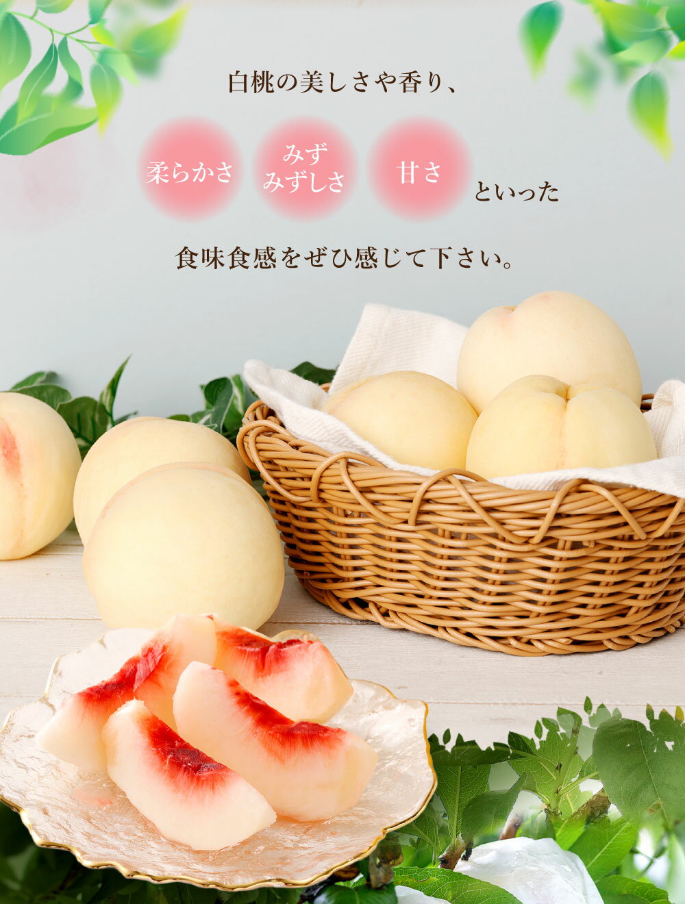 【ふるさと納税】【訳あり】袋掛け 岡山白桃 サイズ不揃い 4～7玉 1.2kg以上 家庭用 ブランド桃 モモ はなよめ 白鳳 清水白桃 白麗 白皇 恵白 白露 くだもの 冷蔵 岡山県産 国産 岡山県 倉敷市 送料無料 【2026年7月上旬～2026年9月上旬まで発送】10000円 1万円 サムネイル3