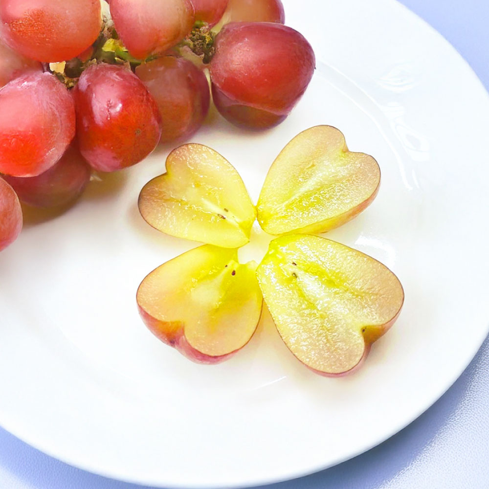 岡山県産 マイハート 約500g×1房 ハート型 糖度 約20度 種なし 皮ごと 葡萄 ブドウ ぶどう くだもの 果物 果実 フルーツ 冷蔵 国産 岡山県 倉敷市 送料無料 【2026年9月上旬～11月上旬まで順次発送予定】