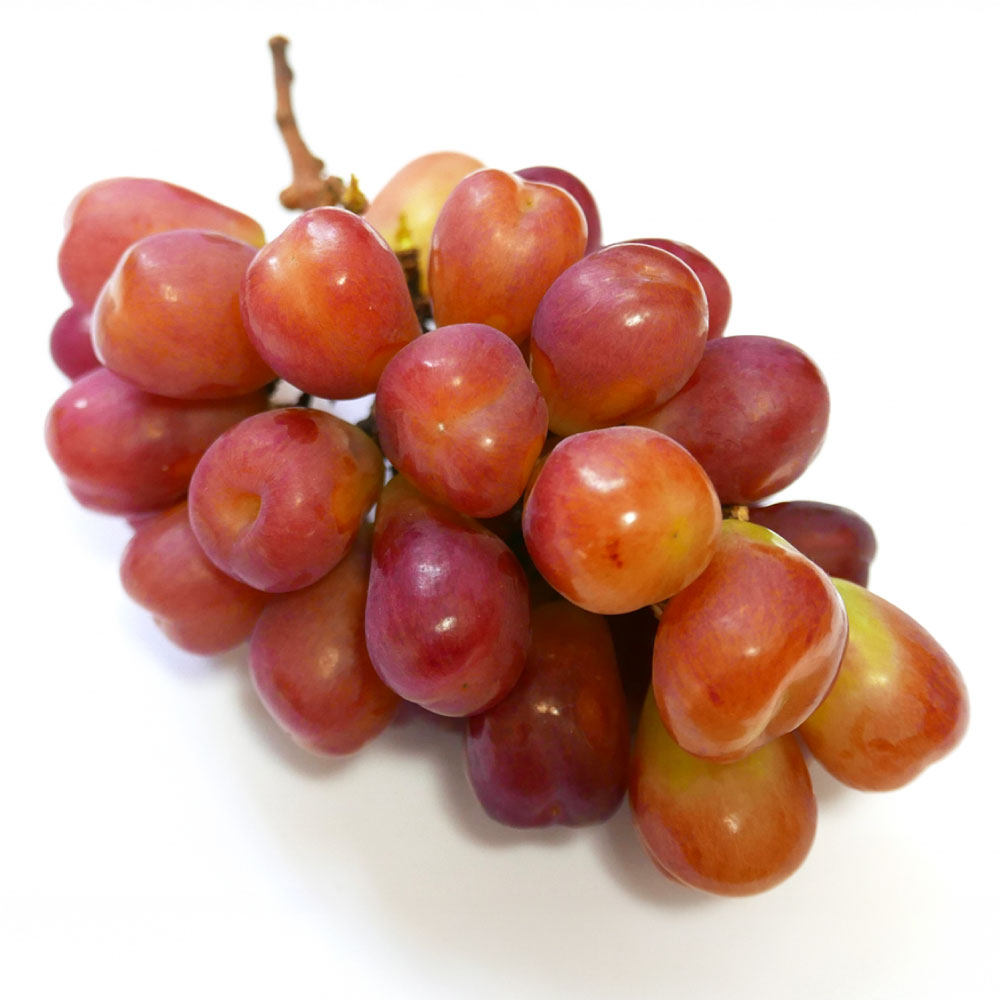 【ふるさと納税】岡山県産 マイハート 約500g×1房 ハート型 糖度 約20度 種なし 皮ごと 葡萄 ブドウ ぶどう くだもの 果物 果実 フルーツ 冷蔵 国産 岡山県 倉敷市 送料無料 【2026年9月上旬～11月上旬まで順次発送予定】 サムネイル2