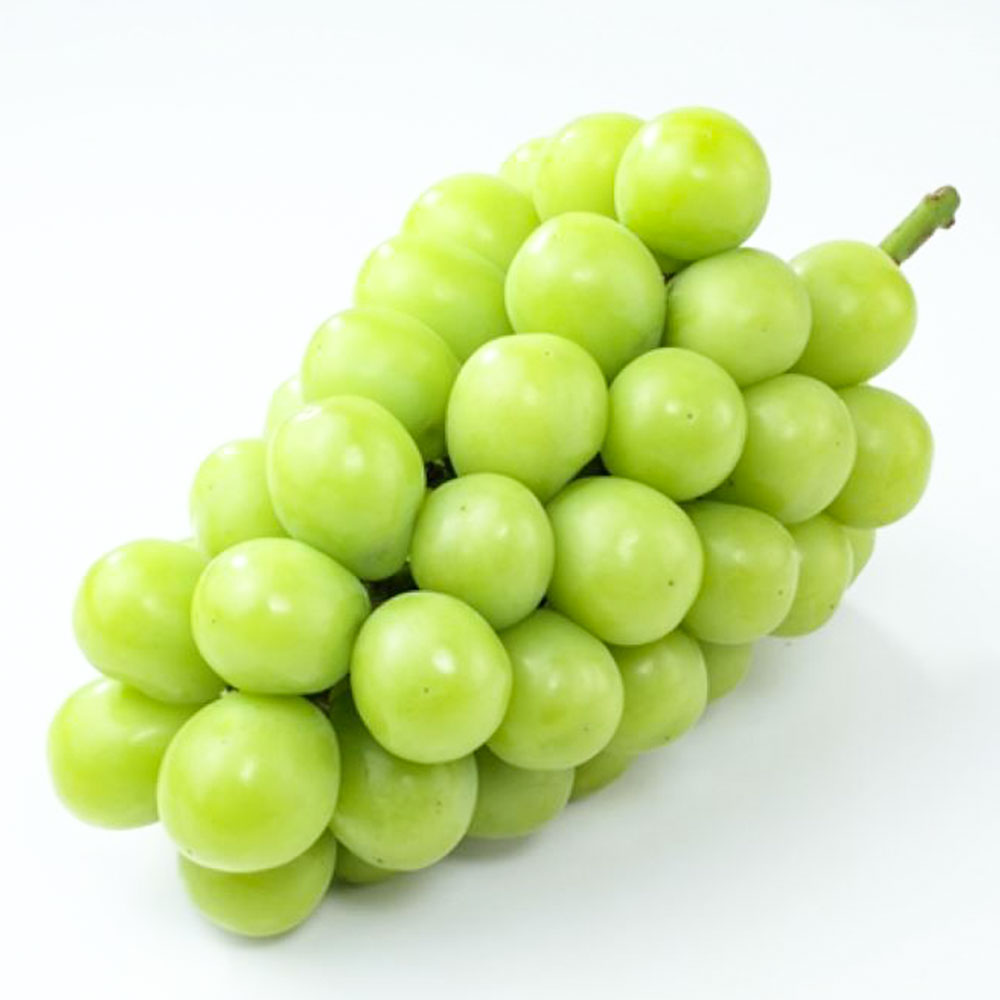 ご家庭用 シャイン マスカット 2～3房 約1.2kg ブドウ 葡萄 岡山県産 国産 フルーツ 果物 直送！せとうちバスケット 倉敷市 2025年 先行予約 【2026年9月上旬～10月下旬 発送予定】