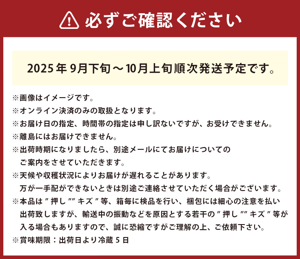 【ふるさと納税】ご家庭用 シャイン マスカット 2～3房 約1.2kg ブドウ 葡萄 岡山県産 国産 フルーツ 果物 直送！せとうちバスケット 倉敷市 2025年 先行予約 【2026年9月上旬～10月下旬 発送予定】 サムネイル3
