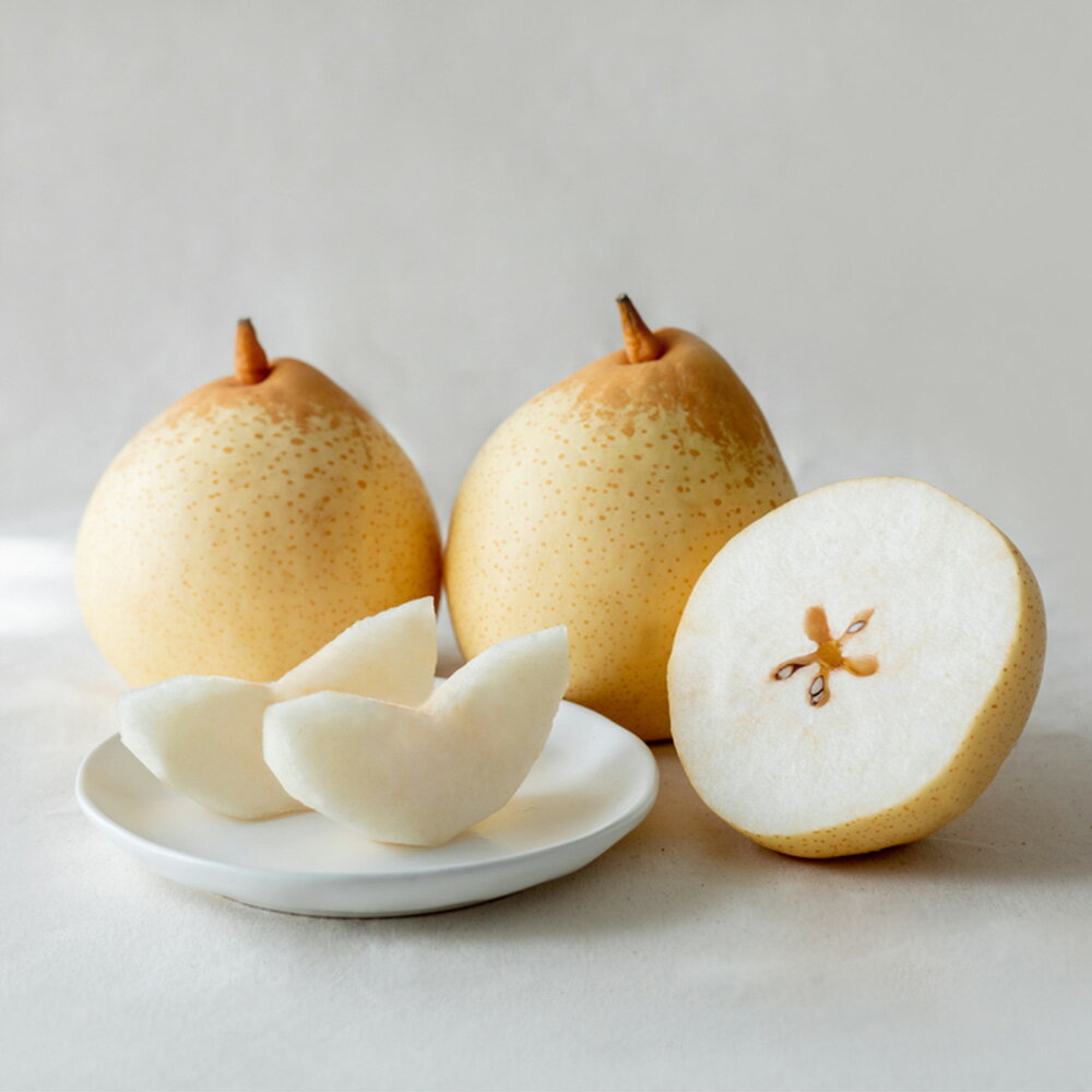 梨 2025年 先行予約 鴨梨（ヤーリー） 計1.5kg・計2kg・計3kg・計4kg・計4.5kg 2玉～12玉 贈答箱 岡山県産 ギフト 石原果樹園 ＜選べる内容量＞ 秋の味覚 酸味 贈答用 【2025年11月下旬～12月下旬迄発送予定】