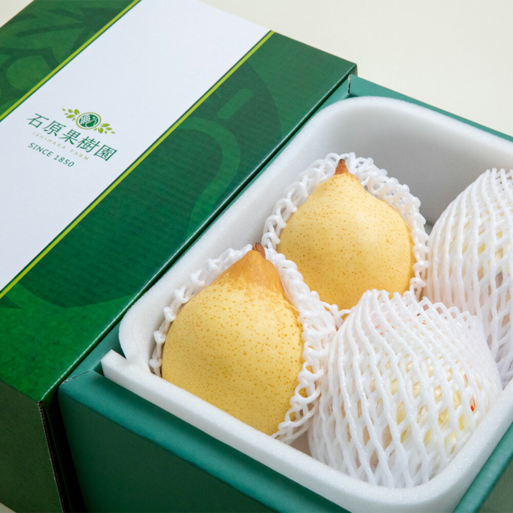 【ふるさと納税】梨 2025年 先行予約 鴨梨（ヤーリー） 計1.5kg・計2kg・計3kg・計4kg・計4.5kg 2玉～12玉 贈答箱 岡山県産 ギフト 石原果樹園 ＜選べる内容量＞ 秋の味覚 酸味 贈答用 【2025年11月下旬～12月下旬迄発送予定】 サムネイル2