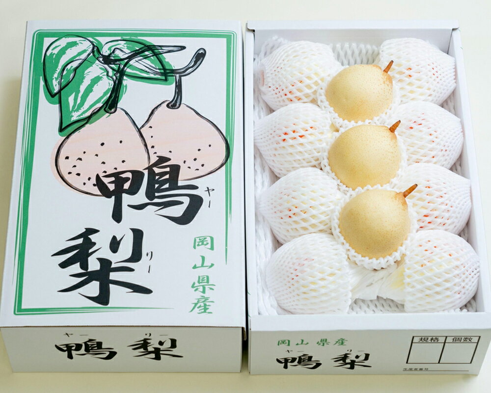 【ふるさと納税】鴨梨（ヤーリー） 合計約4kg（6～13玉） 家庭用 梨 なし ナシ くだもの 果物 果実 フルーツ 岡山県産 国産 岡山県 倉敷市 送料無料 【2025年11月下旬～12月下旬迄順次発送予定】 サムネイル2
