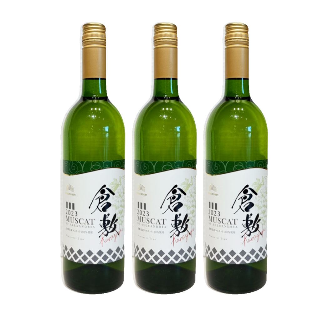 【ふるさと納税】＜選べる本数＞ふなおワイナリー マスカット・オブ・アレキサンドリア【やや甘口】750ml 1本 3本 6本 白ワイン・お酒・やや甘口・ワイン・アルコール サムネイル3