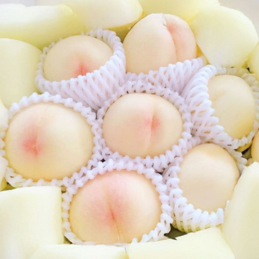 桃 2025年 先行予約 岡山 白桃 キング・エース 約4kg 8～15玉入り もも モモ 岡山県産 国産 フルーツ 果物 ギフト 橋田商店　 岡山の白桃 芳醇な香り 上品な甘み 柔らかい 果汁が多い 【2026年7月上旬～8月下旬 発送予定】