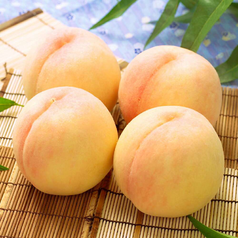 岡山白桃 ＜選べる内容量＞ 4～5玉（合計1.0kg以上） / 8～10玉（合計2.0kg以上） 白桃 桃 もも モモ フルーツ 果物 果実 くだもの 有袋栽培 冷蔵 岡山県産 国産 岡山県 倉敷市 送料無料 【2026年7月上旬～8月上旬迄発送迄順次発送予定】