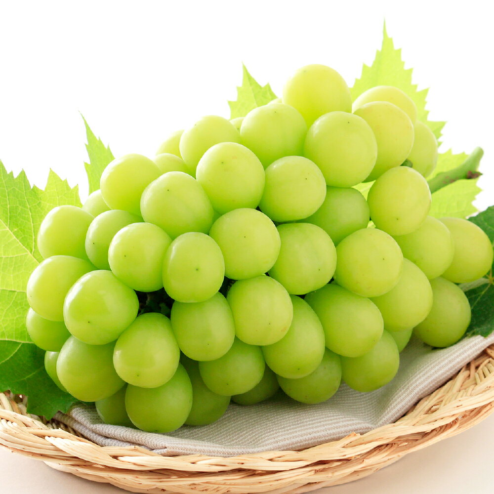 シャインマスカット 晴王 ＜選べる内容量＞ 1房（700g以上） / 2房（合計1.4kg以上） ぶどう ブドウ 葡萄 フルーツ 果物 果実 くだもの 高糖度 大粒 種なし 皮ごと 冷蔵 岡山県産 国産 岡山県 倉敷市 送料無料 【2026年9月上旬～10月上旬迄順次発送予定】