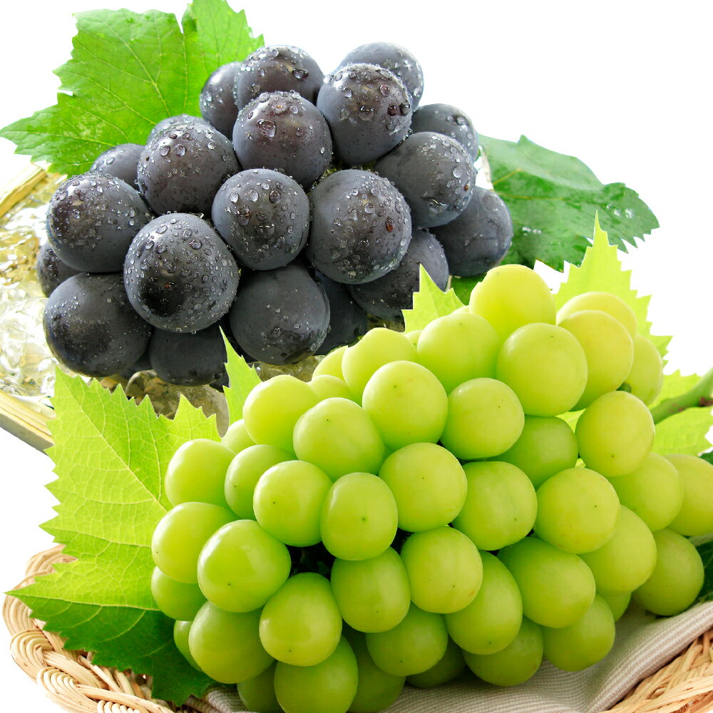 種無し ぶどう詰合せ シャインマスカット ニューピオーネ 各1房 計2房（合計1.2kg以上） ぶどう ブドウ 葡萄 種なし フルーツ 果物 果実 くだもの 詰め合わせ セット 冷蔵 岡山県産 国産 岡山県 倉敷市 送料無料 【2026年9月上旬～10月上旬迄順次発送予定】