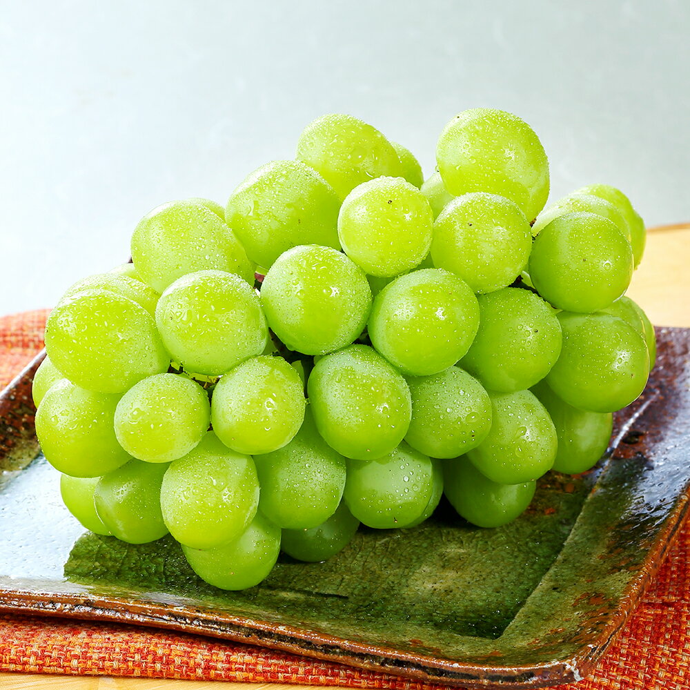 マスカット・オブ・アレキサンドリア 2～3房（合計1.0kg以上） ぶどう ブドウ 葡萄 フルーツ 果物 果実 くだもの ギフト 贈答 冷蔵 岡山県産 国産 岡山県 倉敷市 送料無料 【2026年8月下旬～9月下旬迄順次発送予定】