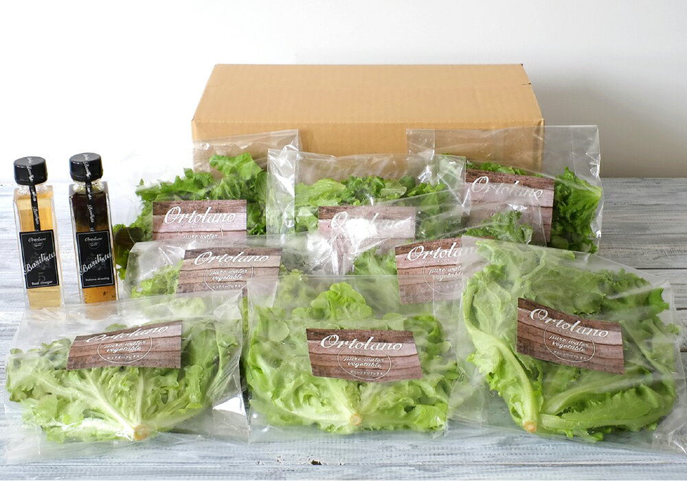 【ふるさと納税】【Ortolano】ファーストクラスのサラダ＆ドレッシングセット A / B ＜選べるセット内容＞ おすすめ野菜 バジリスタイタリアンドレッシング バジリスタバジルビネガー バジル 野菜 やさい サラダ 調味料 冷蔵 岡山県 倉敷市 送料無料 - 画像3