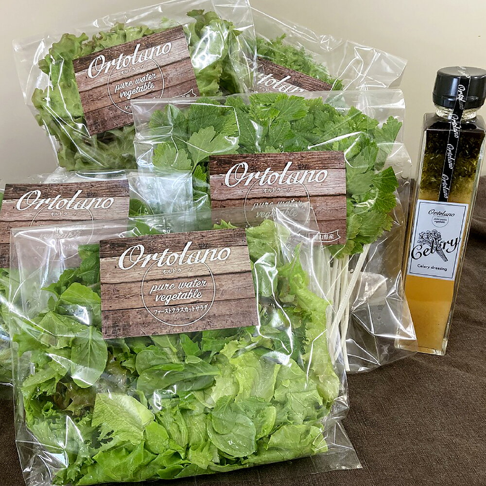 ＜選べるセット内容＞【Ortolano】ファーストクラスのサラダ＆セロリドレッシングセット S-1 / S-2 ファーストクラスカットサラダ おすすめ野菜 セロリドレッシング バジリスタバジルビネガー 野菜 やさい サラダ 調味料 冷蔵 岡山県 倉敷市 送料無料