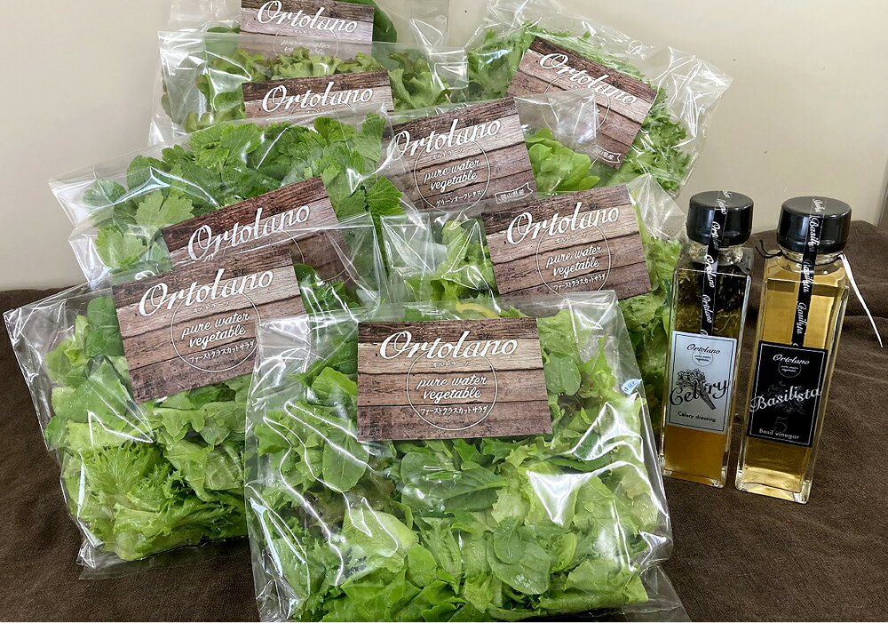 【ふるさと納税】＜選べるセット内容＞【Ortolano】ファーストクラスのサラダ＆セロリドレッシングセット S-1 / S-2 ファーストクラスカットサラダ おすすめ野菜 セロリドレッシング バジリスタバジルビネガー 野菜 やさい サラダ 調味料 冷蔵 岡山県 倉敷市 送料無料 - 画像3