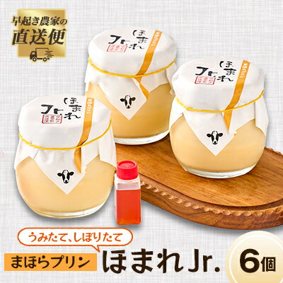 うみたて、しぼりたてまほらプリン ほまれJr_ プリン ふるさと納税 ぷりん しぼりたて まほらスイーツ 津山 卵のコク デザート おやつ スイーツ 洋菓子 牛乳 卵 和三盆 冷蔵 岡山県 津山市 ギフト プレゼント 送料無料 【配送不可地域：離島】【1033448】