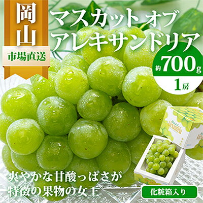【先行予約】岡山県産マスカットオブアレキサンドリア1房(秀品以上・700g以上)化粧箱入り_ ぶどう 葡萄 ブドウ 果物 フルーツ 岡山県 津山市 くだもの マスカット 人気 おすすめ 送料無料 【配送不可地域：離島・北海道・沖縄県】【1150087】