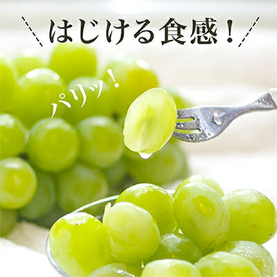 【ふるさと納税】【先行予約】岡山県産マスカットオブアレキサンドリア1房(秀品以上・700g以上)化粧箱入り_ ぶどう 葡萄 ブドウ 果物 フルーツ 岡山県 津山市 くだもの マスカット 人気 おすすめ 送料無料 【配送不可地域：離島・北海道・沖縄県】【1150087】 サムネイル2