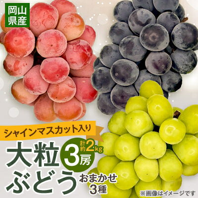 【2025年10月より発送】大粒ぶどう3種セット2kg シャインマスカット ピオーネ クイーンニーナ_ シャインマスカット ぶどう 葡萄 ブドウ マスカット 種無し 大粒 3種 セット 果物 フルーツ くだもの 岡山県 津山市 甘い 産直 産地直送 送料無料 【1244621】