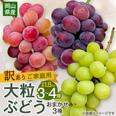 【2025年10月より発送】訳あり大粒ぶどう3種セット(シャインマスカット・ピオーネ等3種おまかせ)_ ふるさと納税 ぶどう 葡萄 ブドウ 果物 フルーツ くだもの デザート おやつ 訳あり 家庭用 大粒 おまかせ 3種 セット 岡山県 津山市 送料無料 【1244678】