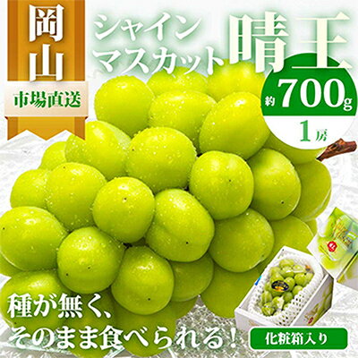 【先行予約】岡山県産　シャインマスカット『晴王』1房　700g以上　化粧箱入り_ シャインマスカット ぶどう 葡萄 ブドウ 果物 くだもの フルーツ 岡山県 津山市 産直 産地直送 化粧箱 ギフト 送料無料 【配送不可地域：離島・北海道・沖縄県】【1281355】