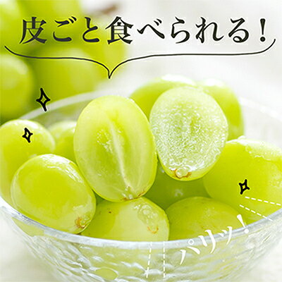 【ふるさと納税】【先行予約】岡山県産　シャインマスカット『晴王』1房　700g以上　化粧箱入り_ シャインマスカット ぶどう 葡萄 ブドウ 果物 くだもの フルーツ 岡山県 津山市 産直 産地直送 化粧箱 ギフト 送料無料 【配送不可地域：離島・北海道・沖縄県】【1281355】 サムネイル2