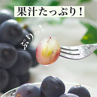 【ふるさと納税】【先行予約】岡山県産　ニューピオーネ2房　(1房600g以上)　化粧箱入り_ ぶどう 葡萄 ブドウ ニューピオーネ 果物 くだもの フルーツ 岡山県 津山市 化粧箱 贈答 ギフト プレゼント 産地直送 送料無料 【配送不可地域：離島・北海道・沖縄県】【1281359】 サムネイル2