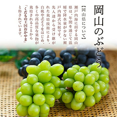 【ふるさと納税】【先行予約】岡山県産　ニューピオーネ2房　(1房600g以上)　化粧箱入り_ ぶどう 葡萄 ブドウ ニューピオーネ 果物 くだもの フルーツ 岡山県 津山市 化粧箱 贈答 ギフト プレゼント 産地直送 送料無料 【配送不可地域：離島・北海道・沖縄県】【1281359】 サムネイル3