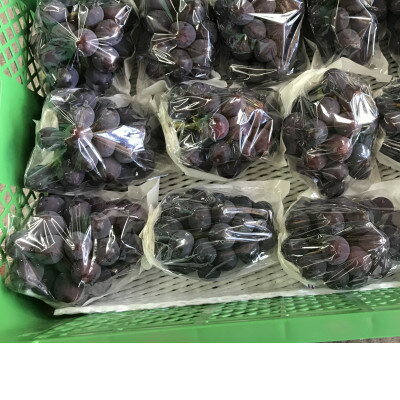 【ふるさと納税】新鮮・朝採り後即出荷!　岡山県　吉備高原産ニューピオーネ　1房入り(700g以上)贈答品_ 種なしぶどう 濃厚フルーツ 朝採れ直送 秋ギフト シャインマスカット代替 岡山県 津山市 果物 くだもの フルーツ 送料無料 人気 【1299810】 サムネイル3