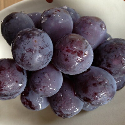 【ふるさと納税】新鮮・朝採り後即出荷!　岡山県　吉備高原産ニューピオーネ　2kg箱(3～4房入)ご贈答品_ ピオーネ ふるさと納税 ぶどう 葡萄 ブドウ 種なしぶどう 濃厚フルーツ 朝採れ直送 秋ギフト シャインマスカット代替 岡山県 津山市 贈答 【1299812】 サムネイル3