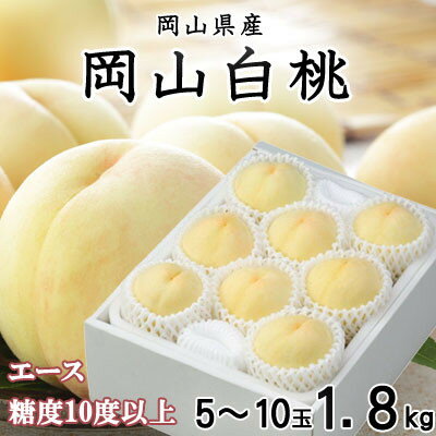 【先行予約】岡山白桃 エース 5～10玉 1.8kg 岡山県産_ 桃 白桃 もも モモ 岡山白桃 甘い 果物 くだもの フルーツ 光センサー 岡山県 津山市 産直 産地直送 ギフト プレゼント 送料無料 【配送不可地域：離島・北海道・沖縄県】【1305706】