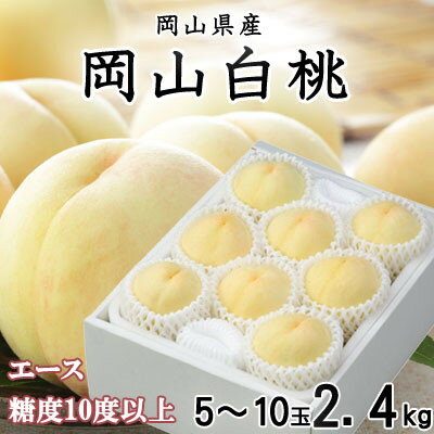 【先行予約】岡山白桃 エース 5～10玉 2.4kg 岡山県産_ 桃 白桃 もも 甘い 果物 フルーツ 岡山県 津山市 【配送不可地域：離島・北海道・沖縄県】【1305715】