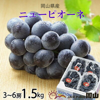 【2026年6月下旬より順次発送】岡山県産 ニューピオーネ 1.5kg(3房～6房)_ ぶどう ニューピオーネ 葡萄 ブドウ 岡山県産 果物 くだもの フルーツ 種無し 贈答【配送不可地域：離島・北海道・沖縄県】【1308146】