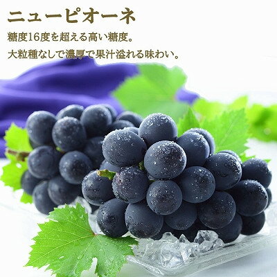 【ふるさと納税】【先行予約】岡山県産　岡山白桃ロイヤル3Lサイズ300g×2玉・ニューピオーネ600g×1房　詰合せ_ 桃 白桃 ニューピオーネ もも 詰め合わせ 甘い 果物 くだもの フルーツ 岡山県 津山市 産地直送 送料無料 【配送不可地域：離島・北海道・沖縄県】【1309113】 サムネイル3