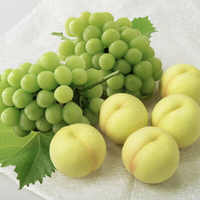 ◆先行予約◆　岡山白桃とシャインマスカット　2026年発送_ 岡山白桃 果汁たっぷり 高級フルーツ 夏 秋 ギフト シャインマスカット ぶどう 岡山県 津山市 産直 産地直送 送料無料 人気 おすすめ 【配送不可地域：離島・北海道・沖縄県】【1349778】