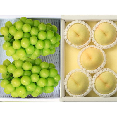 【ふるさと納税】◆先行予約◆　岡山白桃とシャインマスカット　2026年発送_ 岡山白桃 果汁たっぷり 高級フルーツ 夏 秋 ギフト シャインマスカット ぶどう 岡山県 津山市 産直 産地直送 送料無料 人気 おすすめ 【配送不可地域：離島・北海道・沖縄県】【1349778】 サムネイル2