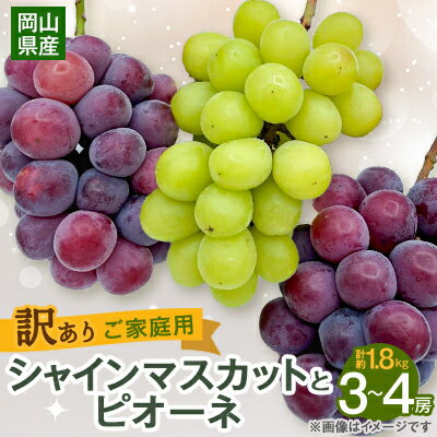 【2025年10月より発送】訳ありシャインマスカットとピオーネ詰合せ 3～4房 1.8kg ご家庭用_ シャインマスカット ふるさと納税 ぶどう 葡萄 ブドウ 果物 くだもの 訳あり マスカット ピオーネ フルーツ 岡山県 津山市 産地直送 家庭用 送料無料 【1355668】