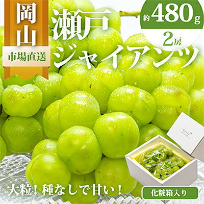 【先行予約】岡山県産　瀬戸ジャイアンツ2房　(1房480g以上)合計約1kg　化粧箱入り_ ぶどう 葡萄 ブドウ 果物 フルーツ 岡山県 津山市 くだもの 瀬戸ジャイアンツ 人気 おすすめ 送料無料 【配送不可地域：離島・北海道・沖縄県】【1357578】