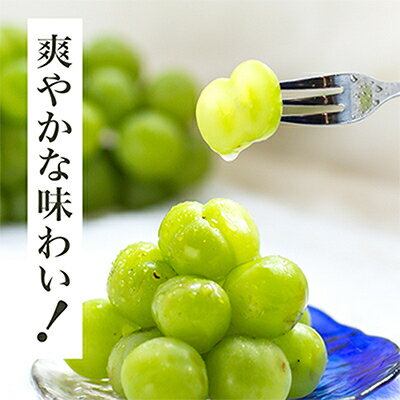 【ふるさと納税】【先行予約】岡山県産　瀬戸ジャイアンツ2房　(1房480g以上)合計約1kg　化粧箱入り_ ぶどう 葡萄 ブドウ 果物 フルーツ 岡山県 津山市 くだもの 瀬戸ジャイアンツ 人気 おすすめ 送料無料 【配送不可地域：離島・北海道・沖縄県】【1357578】 サムネイル2