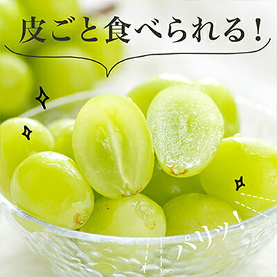 【ふるさと納税】【先行予約】岡山県産　シャインマスカット『晴王』4房(1房480g以上・合計約2kg)　_ シャインマスカット ぶどう 葡萄 ブドウ 種なし 果物 くだもの フルーツ 岡山県 津山市 産直 産地直送 送料無料 【配送不可地域：離島・北海道・沖縄県】【1360475】 サムネイル2