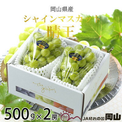 【2026年7月中旬より順次発送】岡山県産 シャインマスカット 晴王 500g×2房【配送不可地域：離島・北海道・沖縄県】【1365933】
