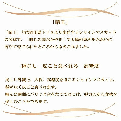 【ふるさと納税】【2026年7月中旬より順次発送】岡山県産 シャインマスカット 晴王 600g×2房_ シャインマスカット ぶどう 葡萄 ブドウ 果物 くだもの フルーツ 種なし 【配送不可地域：離島・北海道・沖縄県】【1365935】 サムネイル2