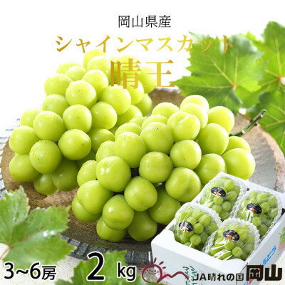 【2026年7月中旬より順次発送】岡山県産 シャインマスカット 晴王 2kg(3房～6房)_ シャインマスカット ふるさと納税 ぶどう 葡萄 ブドウ マスカット 【配送不可地域：離島・北海道・沖縄県】【1365938】