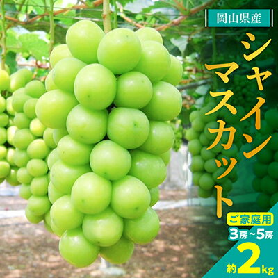 【2026年発送】訳あり!シャインマスカット約2kg!8月中旬～順次発送【人気の岡山産ぶどう】_ 訳あり シャインマスカット ぶどう 2kg 葡萄 ブドウ マスカット 果物 くだもの フルーツ 人気 美味しい 岡山 家庭用 送料無料 【配送不可地域：離島】【1378275】