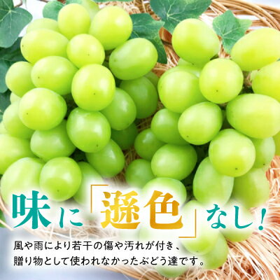 【ふるさと納税】【2026年発送】訳あり!シャインマスカット約2kg!8月中旬～順次発送【人気の岡山産ぶどう】_ 訳あり シャインマスカット ぶどう 2kg 葡萄 ブドウ マスカット 果物 くだもの フルーツ 人気 美味しい 岡山 家庭用 送料無料 【配送不可地域：離島】【1378275】 サムネイル2