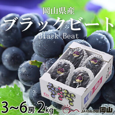【先行予約】岡山県産　ブラックビート　2kg(3房～6房)_ ぶどう ブラックビート 葡萄 ブドウ 黒ぶどう 果物 くだもの フルーツ 大粒 岡山県 津山市 ギフト プレゼント 産直 産地直送 送料無料 【配送不可地域：離島・北海道・沖縄県】【1400519】