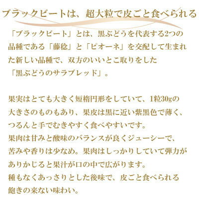 【ふるさと納税】【先行予約】岡山県産　ブラックビート　400g×2房_ ぶどう 葡萄 ブドウ ブラックビート 果物 くだもの フルーツ デザート 産直 産地直送 岡山県 津山市 贈答 ギフト プレゼント 家庭用 送料無料 【配送不可地域：離島・北海道・沖縄県】【1400525】 サムネイル2