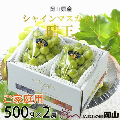 【2025年8月より発送予定】ご家庭用　岡山県産　シャインマスカット　晴王　500g×2房_ シャインマスカット ぶどう 葡萄 ブドウ 果物 くだもの フルーツ 種無し 甘い 岡山県 津山市 家庭用 自宅用 産直 産地直送 送料無料 【配送不可地域：離島】【1409725】