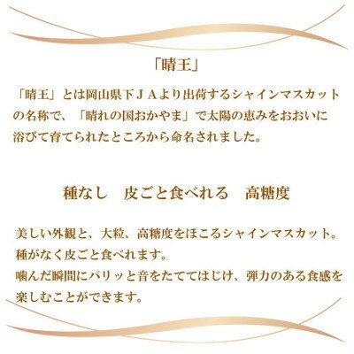 【ふるさと納税】【2025年8月より発送予定】ご家庭用　岡山県産　シャインマスカット　晴王　500g×2房_ シャインマスカット ぶどう 葡萄 ブドウ 果物 くだもの フルーツ 種無し 甘い 岡山県 津山市 家庭用 自宅用 産直 産地直送 送料無料 【配送不可地域：離島】【1409725】 サムネイル2